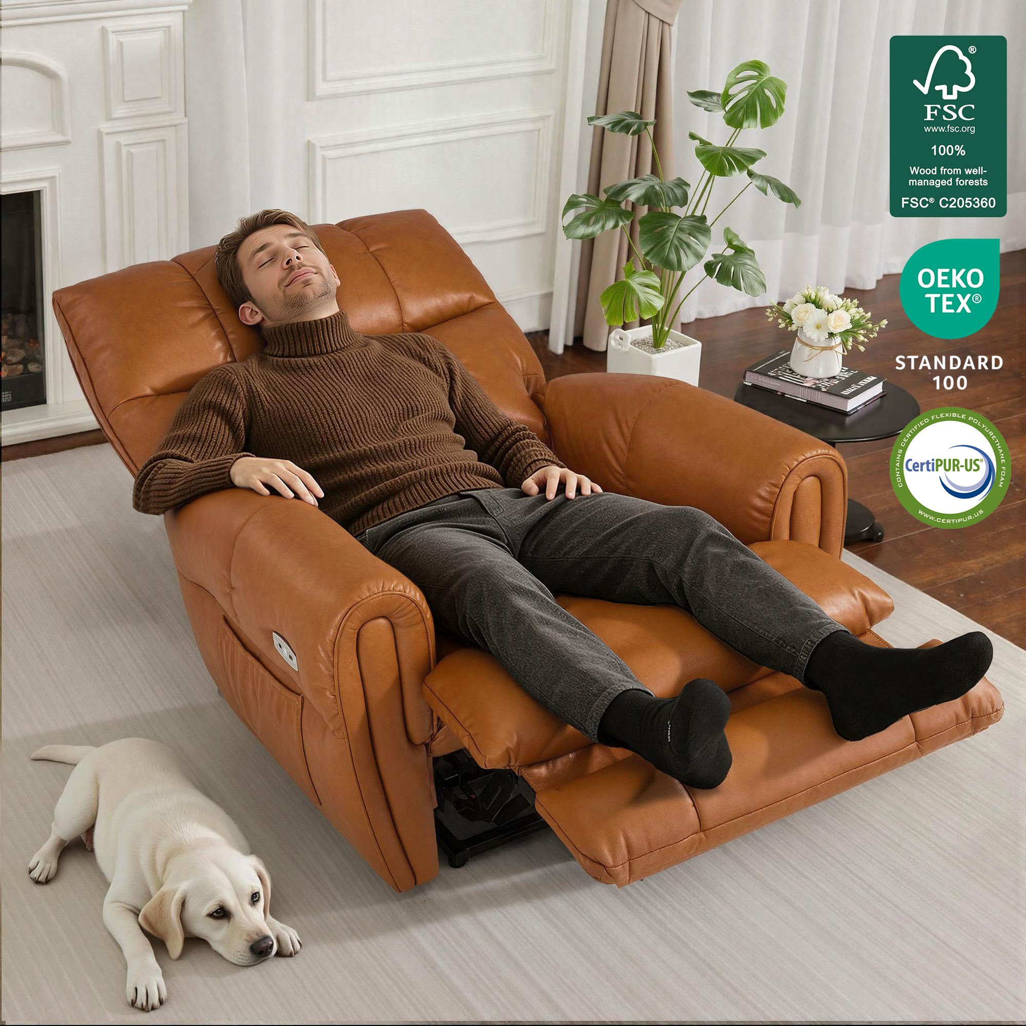 Large Dual Motor Power Recliner Chair with Heat and Vibration, 6199