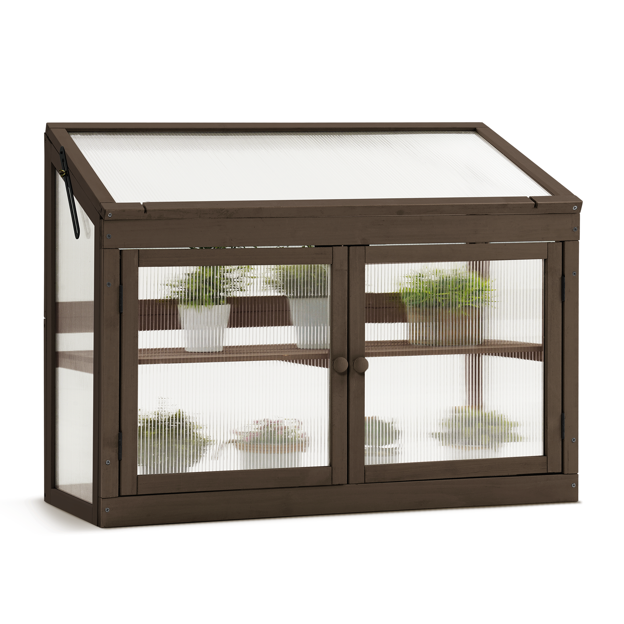 Cold Frame Greenhouse, 0160