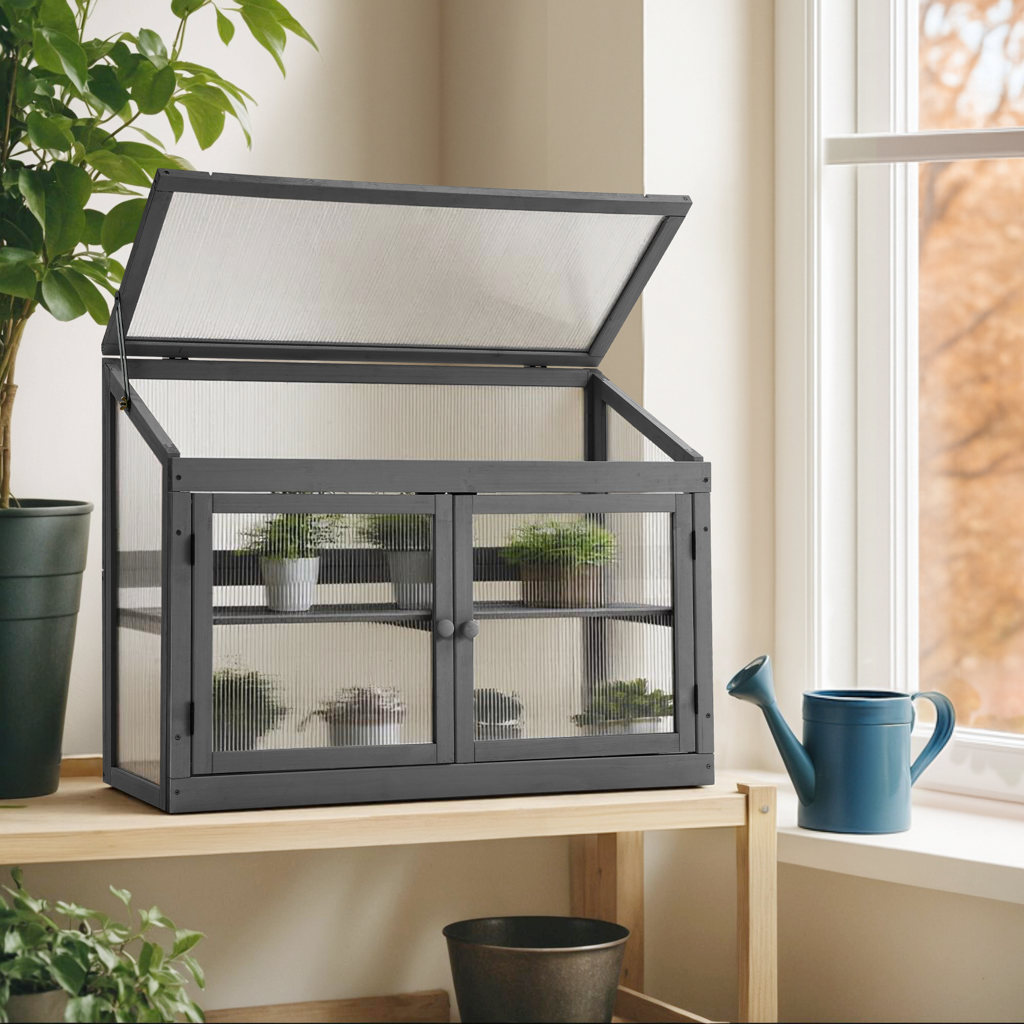 Cold Frame Greenhouse, 0160