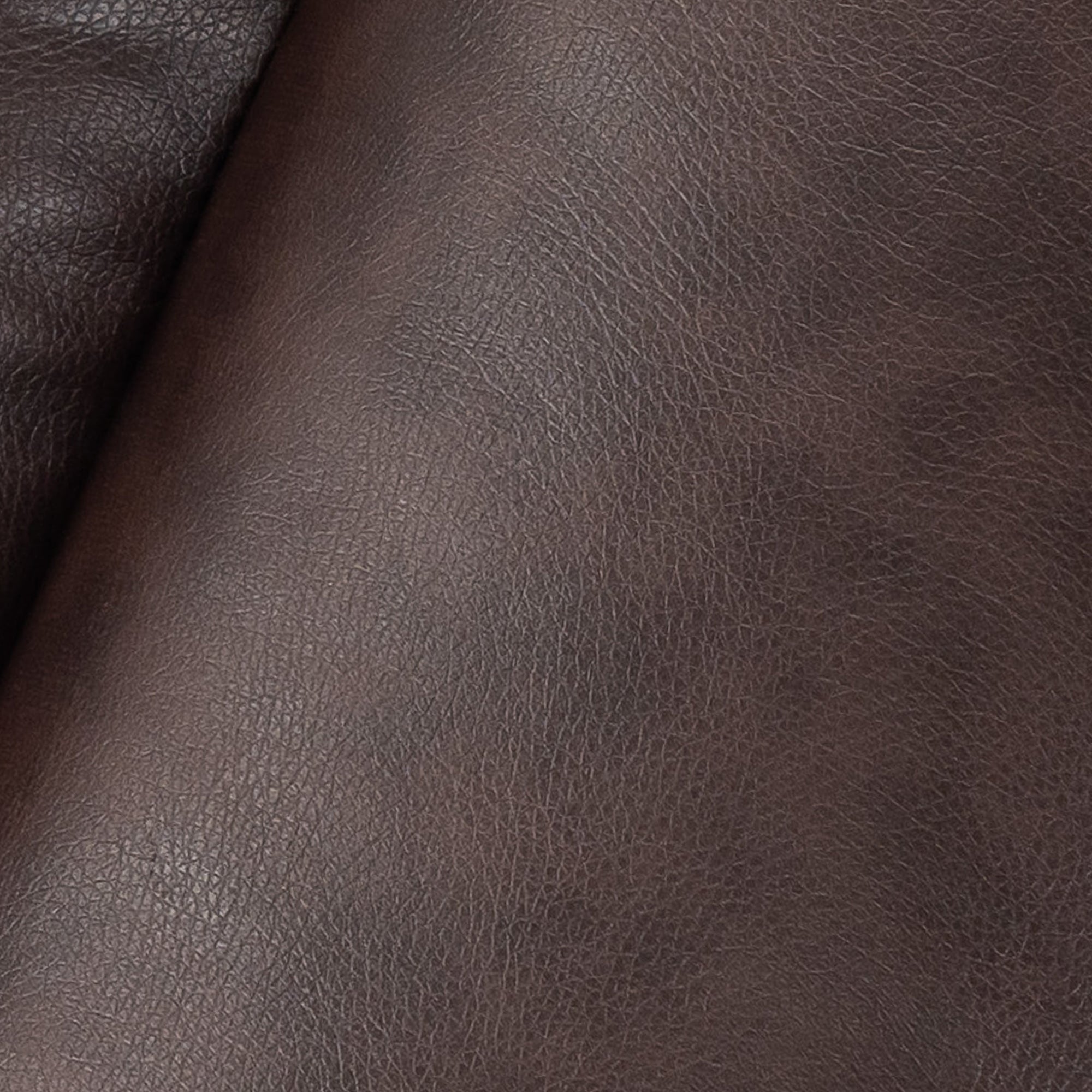 #color_dark-brown_size_large-regular