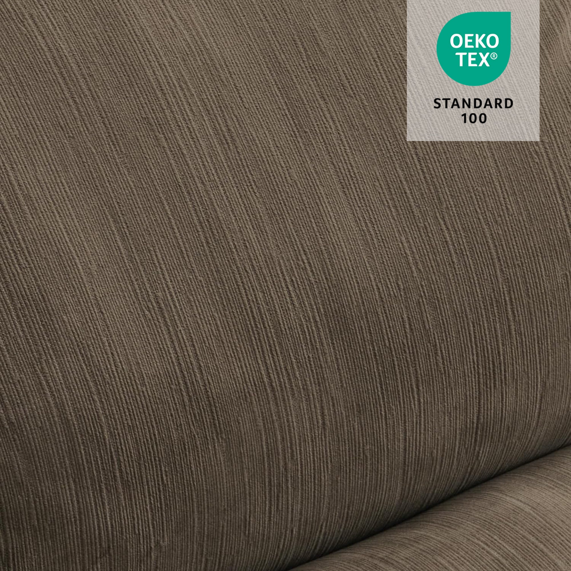 Dual Motor Power Lift Recliner Chair for Elderly, Massage and Lumbar&seat Heating, Fabric R7166