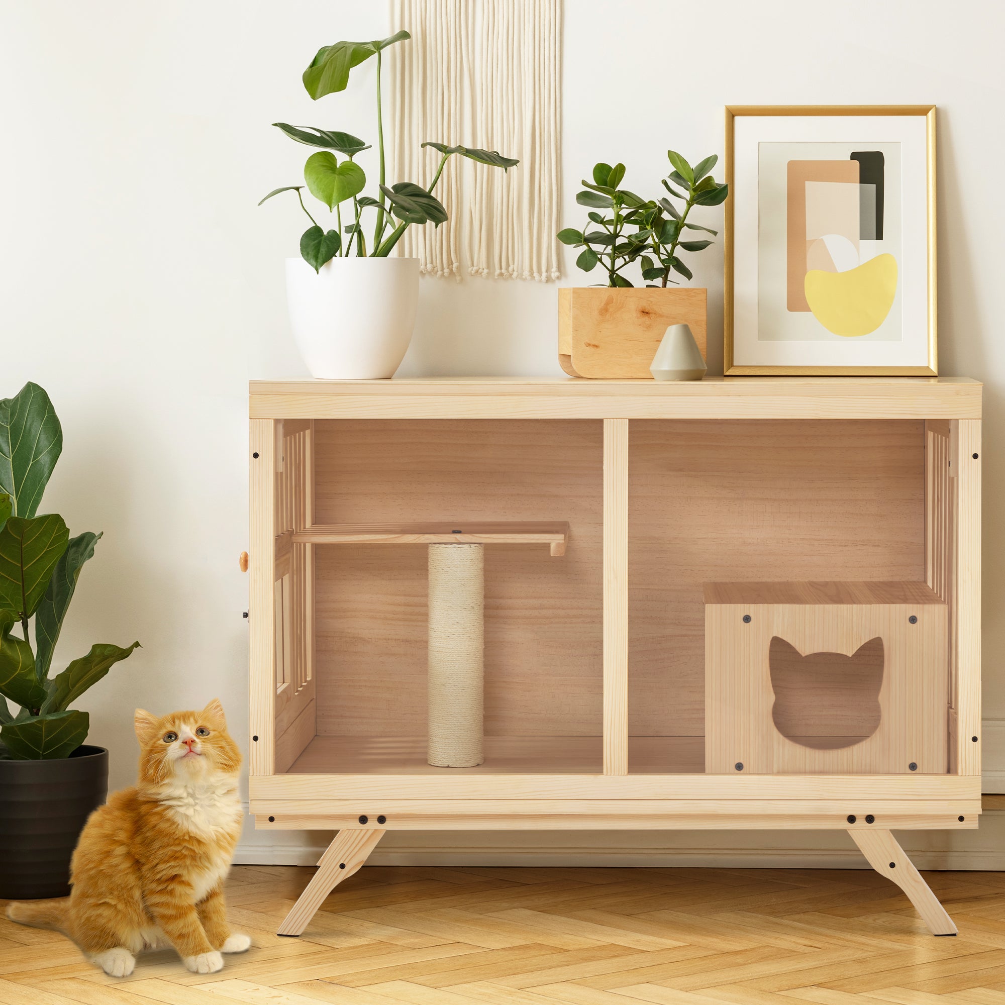 Cat House for Kittens, CT55
