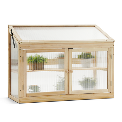 Cold Frame Greenhouse, 0160