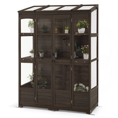 Cold Frame Greenhouse, 0899