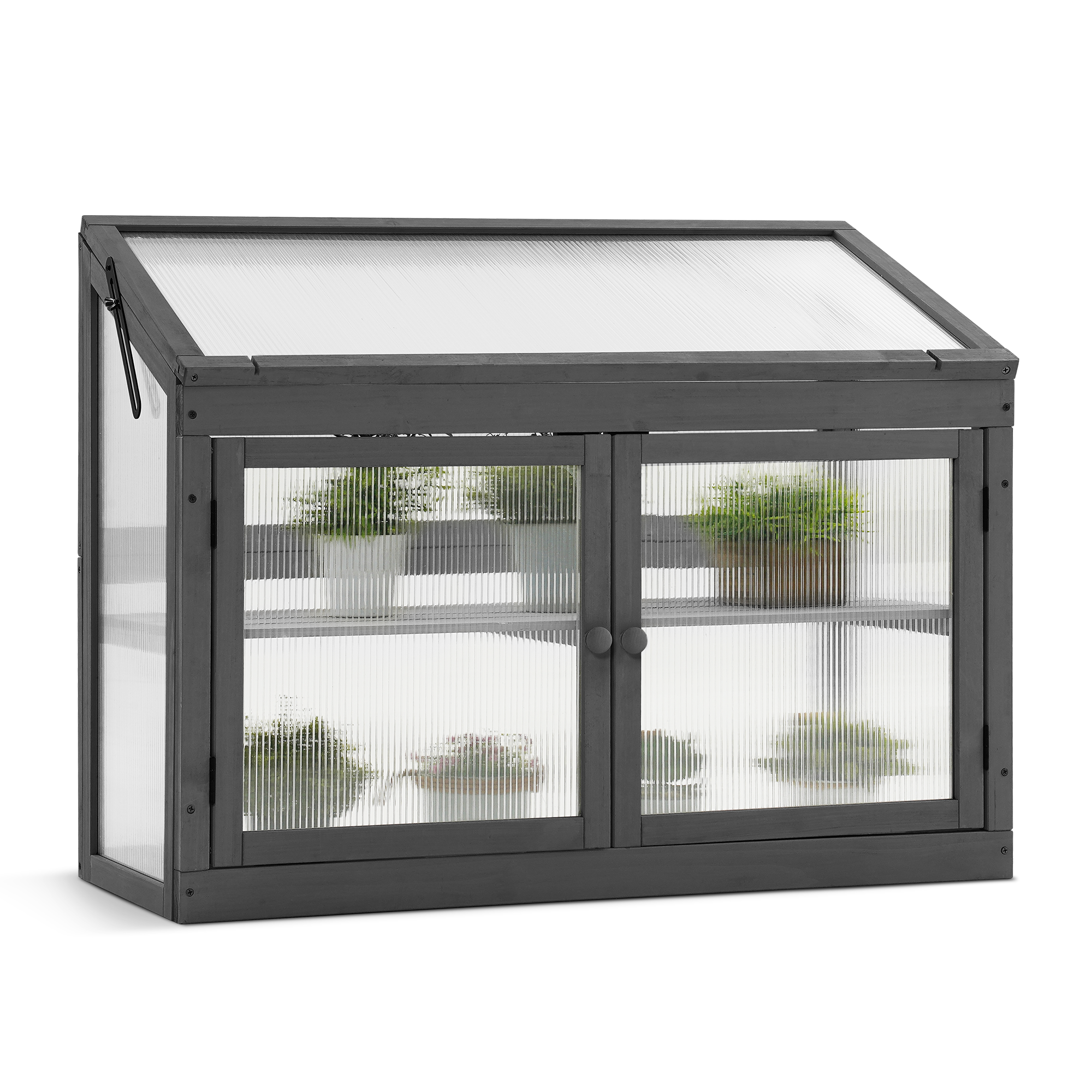 Cold Frame Greenhouse, 0160