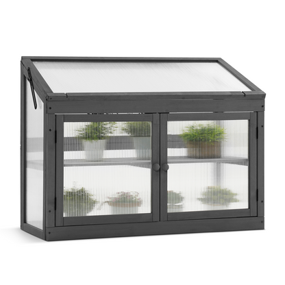 Cold Frame Greenhouse, 0160