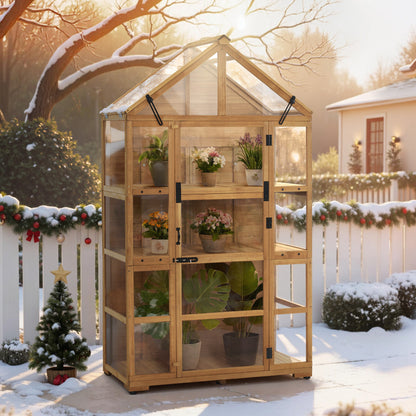 Cold Frame Greenhouse, 0826