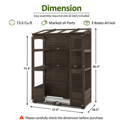 Cold Frame Greenhouse, 0899