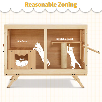 Cat House for Kittens, CT55