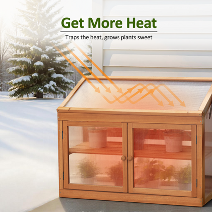 Cold Frame Greenhouse, 0160