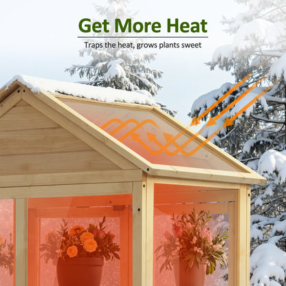 Cold Frame Greenhouse, 0847