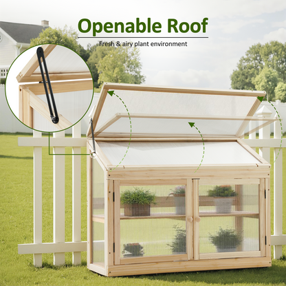 Cold Frame Greenhouse, 0160