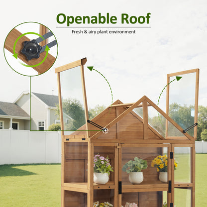 Cold Frame Greenhouse, 0826