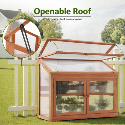 Cold Frame Greenhouse, 0160