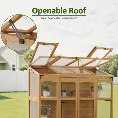 Cold Frame Greenhouse, 0899