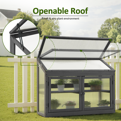 Cold Frame Greenhouse, 0160