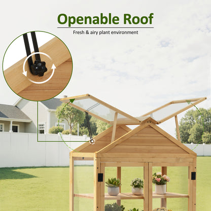 Cold Frame Greenhouse, 0847