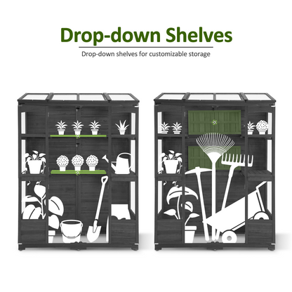 Cold Frame Greenhouse, 0899