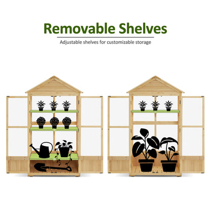 Cold Frame Greenhouse, 0847