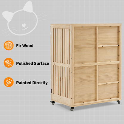 Cat House for Kittens,CT27