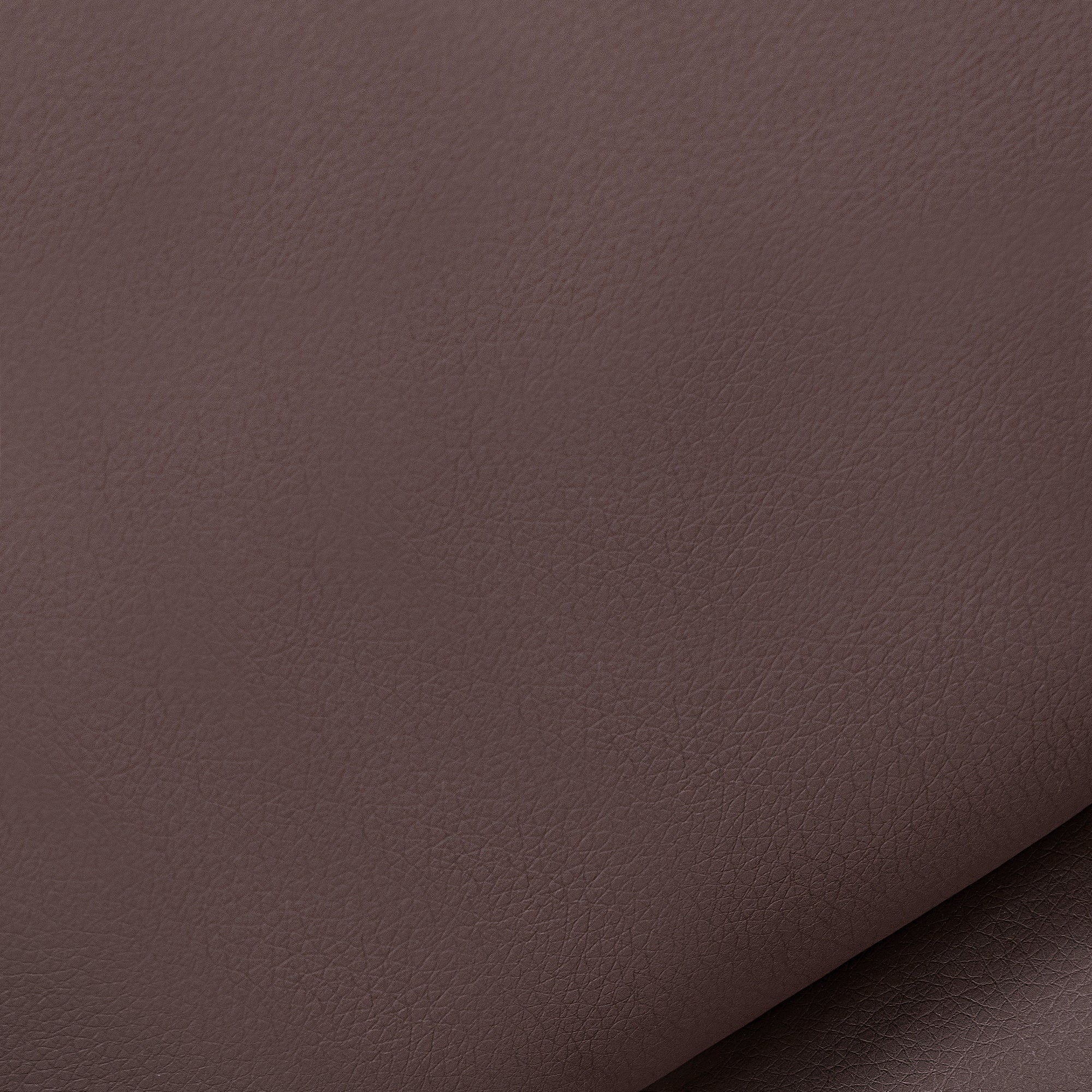 #color_light-brown_size_medium-regular