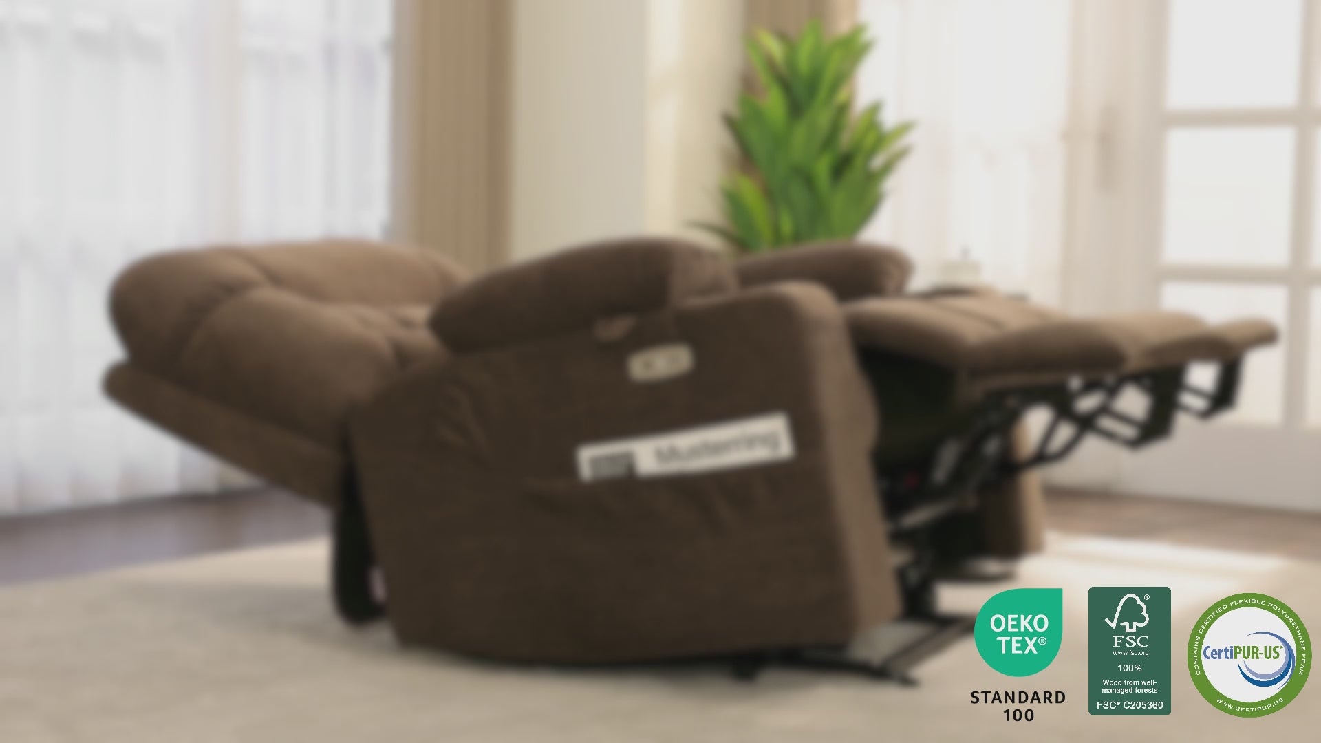 Power Lift Recliner Chair for Elderly, Dual Motor, Massage and