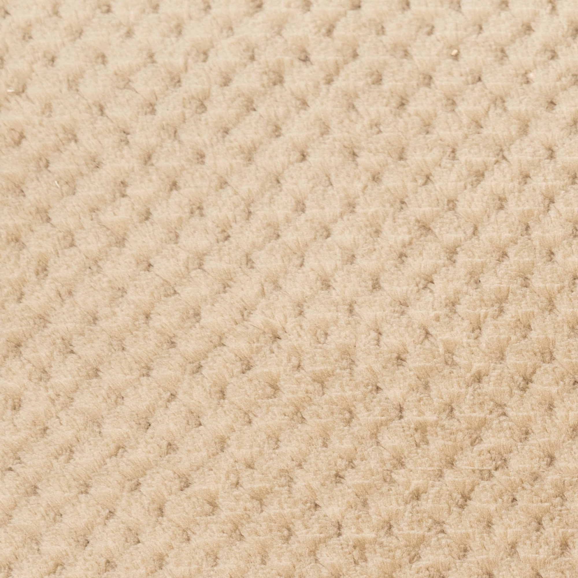 #color_beige