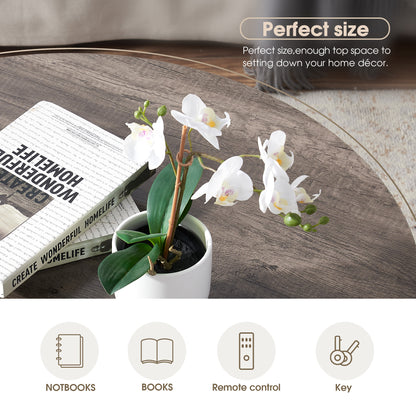 Round Coffee Table, Orchid-S32